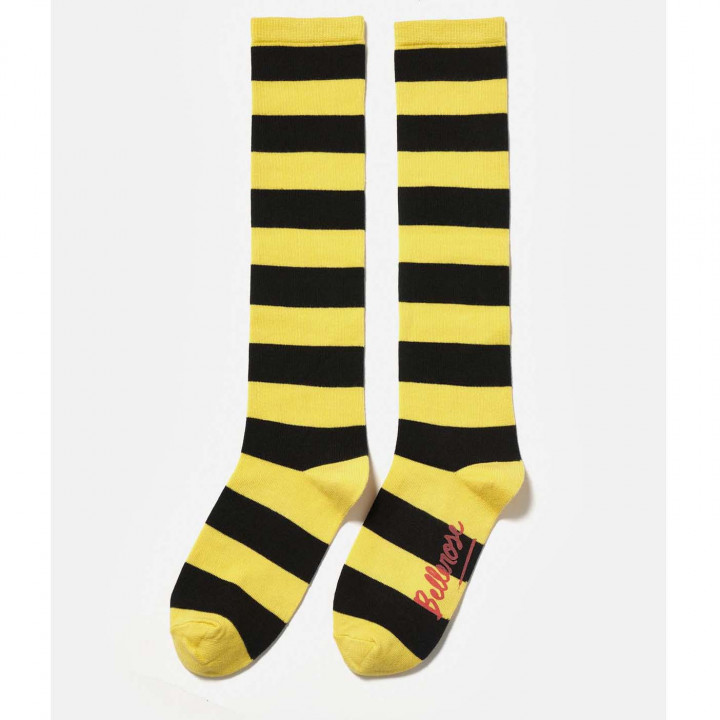 Bichir Socks Stripe