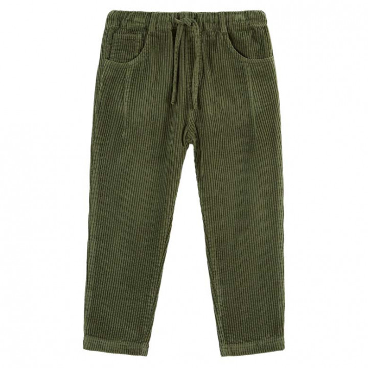 Pants Velours Foret