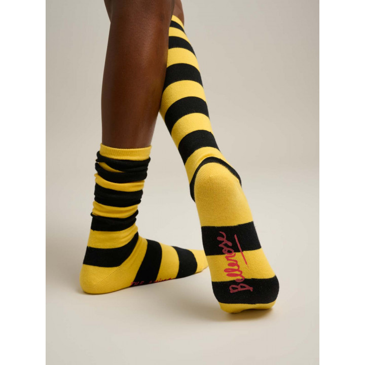 Bichir Socks Stripe