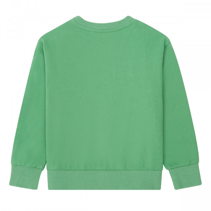 Today Sweater Cactus Green